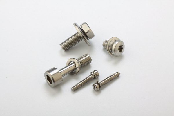screw and washer assembly