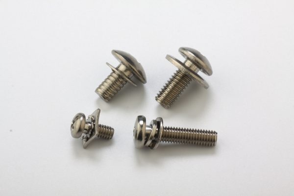 screw and washer assembly2